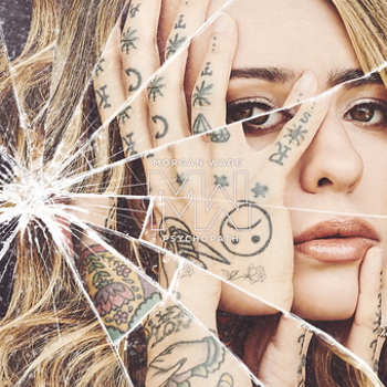 Vinyl Psychopath Book