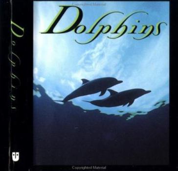 Hardcover Dolphins Book