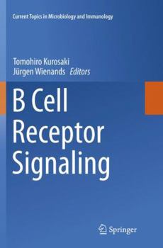 Paperback B Cell Receptor Signaling Book