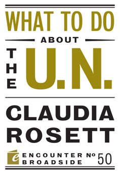 Paperback What to Do about the U.N. Book