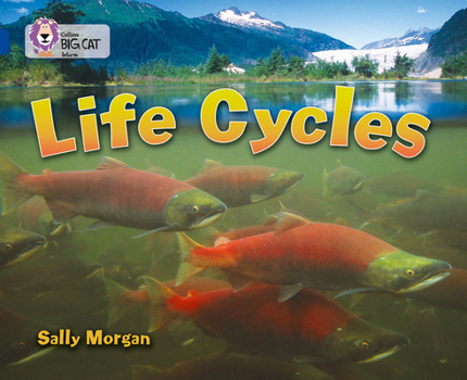 Paperback Life Cycles: Band 16/Sapphire Book