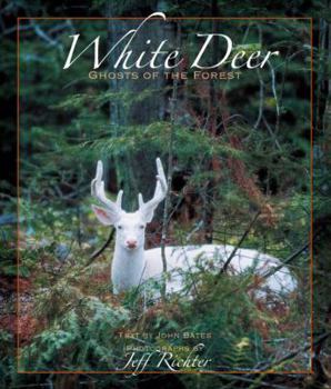 Paperback White Deer Ghosts of The Forest Book