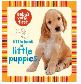 Hardcover Little Puppies. Antonia Miller Book