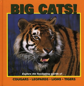 Hardcover Big Cats Book