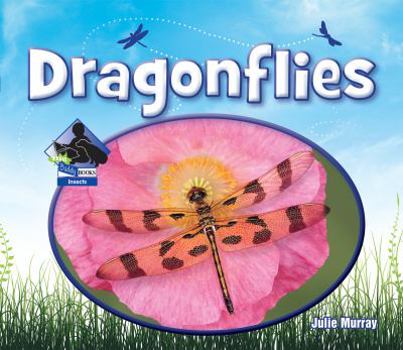 Dragonflies - Book  of the Animal Kingdom