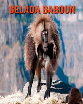 Paperback Gelada Baboon: Amazing Facts about Gelada Baboon Book
