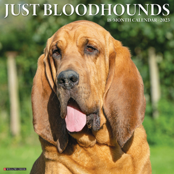 Calendar Just Bloodhounds 2023 Wall Calendar Book