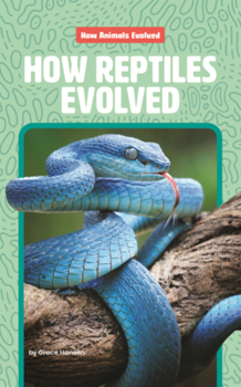 Library Binding How Reptiles Evolved Book