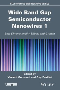 Hardcover Wide Band Gap Semiconductor Nanowires 1: Low-Dimensionality Effects and Growth Book