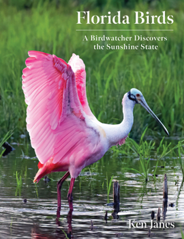 Paperback Florida Birds: A Birdwatcher Discovers the Sunshine State Book
