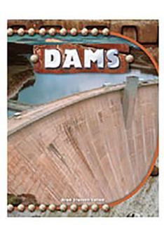 Paperback Rigby Focus Forward: Leveled Reader Dams Book