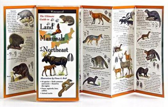 Wall Chart Land Mammals of the Northeast Book