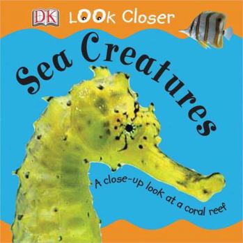 Hardcover Sea Creatures Book