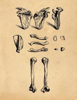 Paperback Anatomy Notebook: Andreas Vesalius - Scapula Right Clavicle Humerus - Premium College Ruled Notebook 110 Pages Book