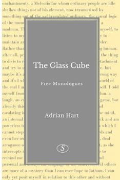 Paperback The Glass Cube Book