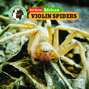Hardcover All about African Violin Spiders Book