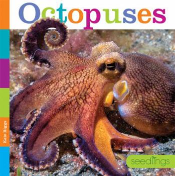 Octopuses - Book  of the Seedlings