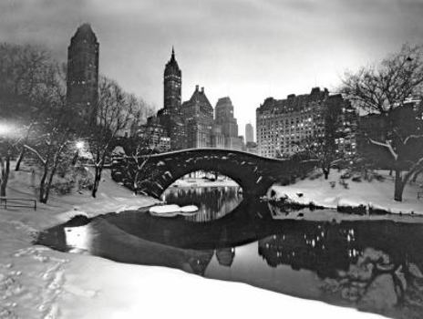 Misc. New York Times Gapstow Bridge Boxed Holiday Full Notecards Book