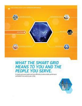Paperback What the Smart Grid Means to You and the People You Serve Book