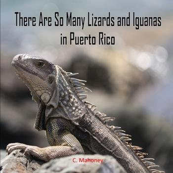 Paperback There Are So Many Lizards and Iguanas in Puerto Rico Book