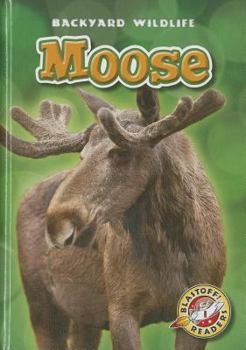 Moose - Book  of the Backyard Wildlife