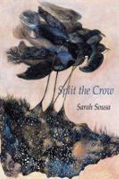 Paperback Split the Crow Book