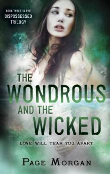 Hardcover The Wondrous and the Wicked Book