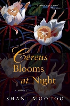 Paperback Cereus Blooms at Night Book