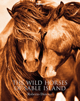 Hardcover The Wild Horses of Sable Island Book