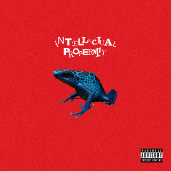 Vinyl Intellectual Property Book