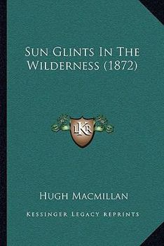Paperback Sun Glints In The Wilderness (1872) Book