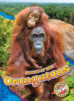 Library Binding Orangutans Book