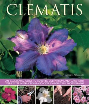 Paperback Clematis: An Illustrated Guide to Varieties, Cultivation and Care Book