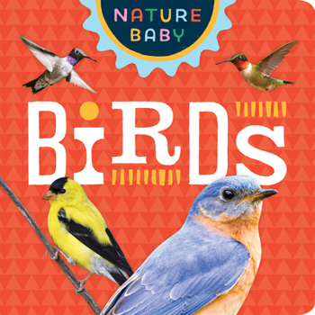 Board book Nature Baby: Birds Book