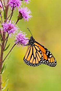 Paperback Monarch Butterfly Journal: 150 Page Lined Notebook/Diary Book