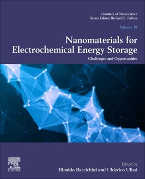 Paperback Nanomaterials for Electrochemical Energy Storage: Challenges and Opportunities Volume 19 Book