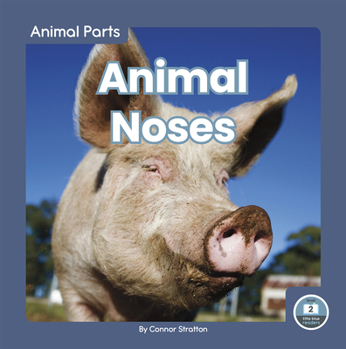 Paperback Animal Noses Book