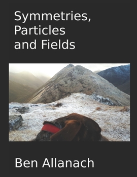 Paperback Symmetries, Particles and Fields Book
