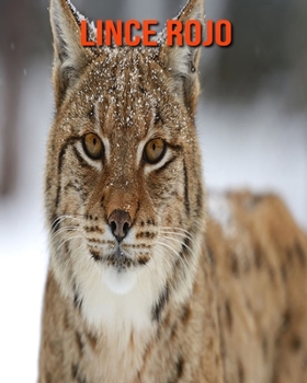 Paperback Lince rojo: Im?genes asombrosas y datos curiosos [Spanish] Book