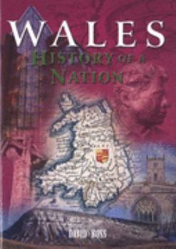 Paperback Wales History of a Nation Book