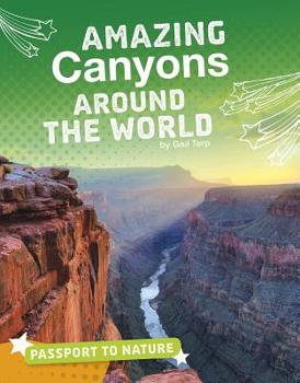 Hardcover Amazing Canyons Around the World Book