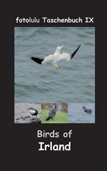 Paperback Birds of Irland: fotolulu Taschenbuch IX [German] Book
