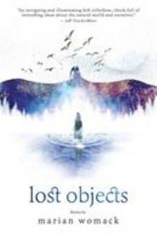 Paperback Lost Objects Book