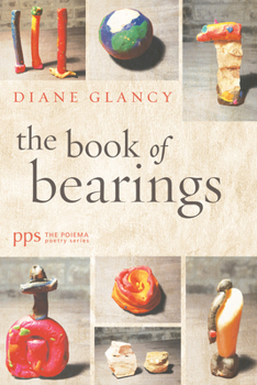 Paperback The Book of Bearings Book