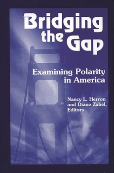 Hardcover Bridging the Gap: Examining Polarity in America Book