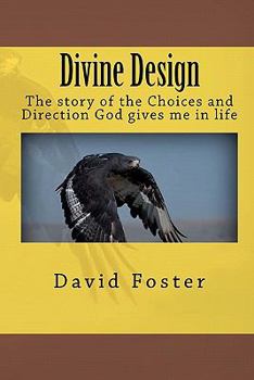 Paperback Divine Design Book