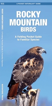 Rocky Mountain Birds (Pocket Naturalist - Waterford Press)