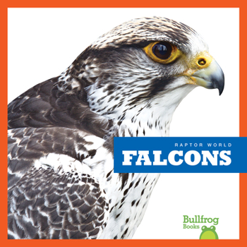 Paperback Falcons Book