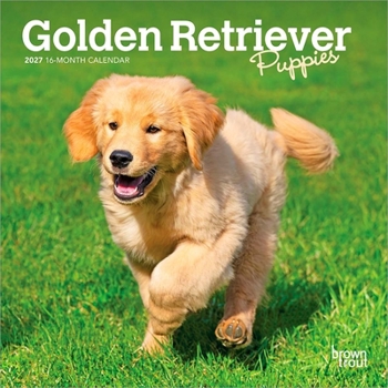 Golden Retriever Puppies 2027 7 X 14 Inch (Hanging) Monthly Mini Wall Calendar