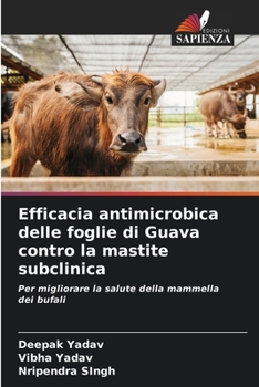 Efficacia antimicrobica delle foglie di Guava contro la mastite subclinica (Italian Edition)